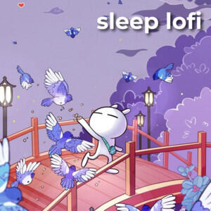 sleep lofi